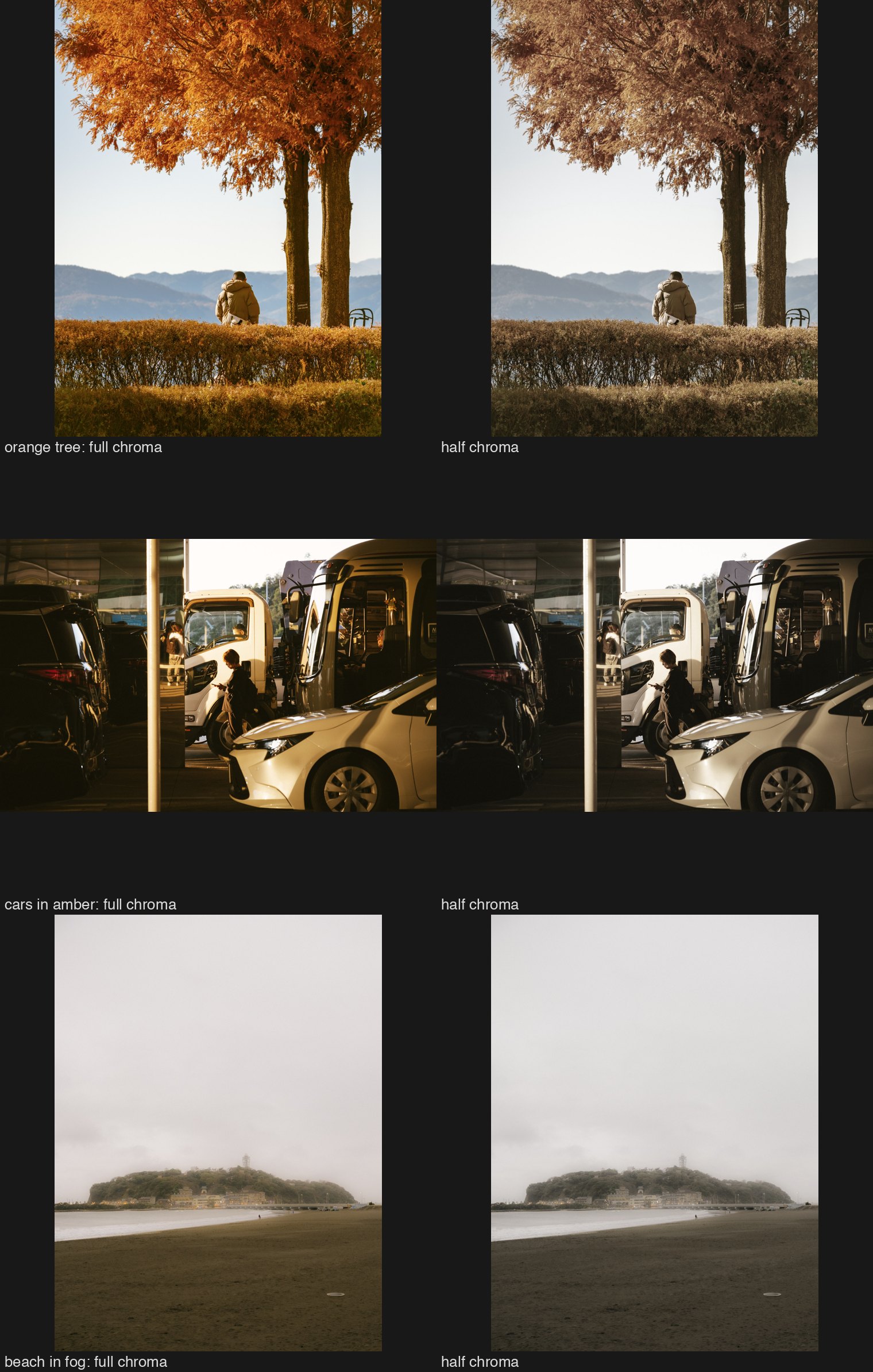 Three of my collaborator&rsquo;s photographs at full and half saturation: the orange tree dies, the cars in amber lose their temperature, the beach in fog barely changes.